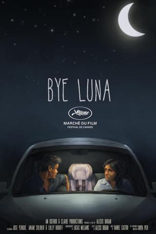 Bye Luna poster