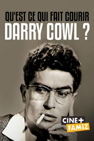 Qu'est-ce qui fait courir Darry Cowl ? poster