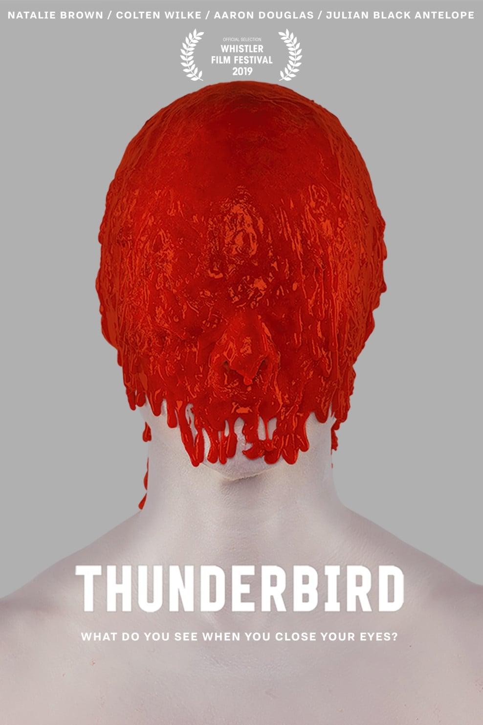 Thunderbird poster