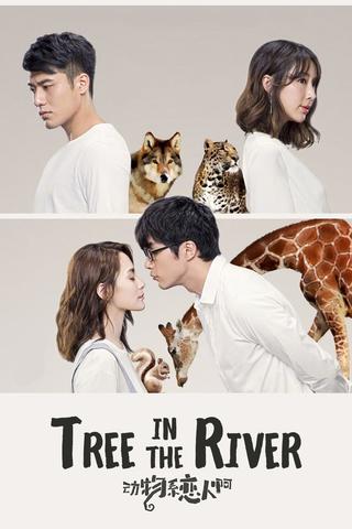 Tree in the River poster