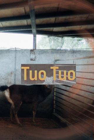Tuo Tuo poster