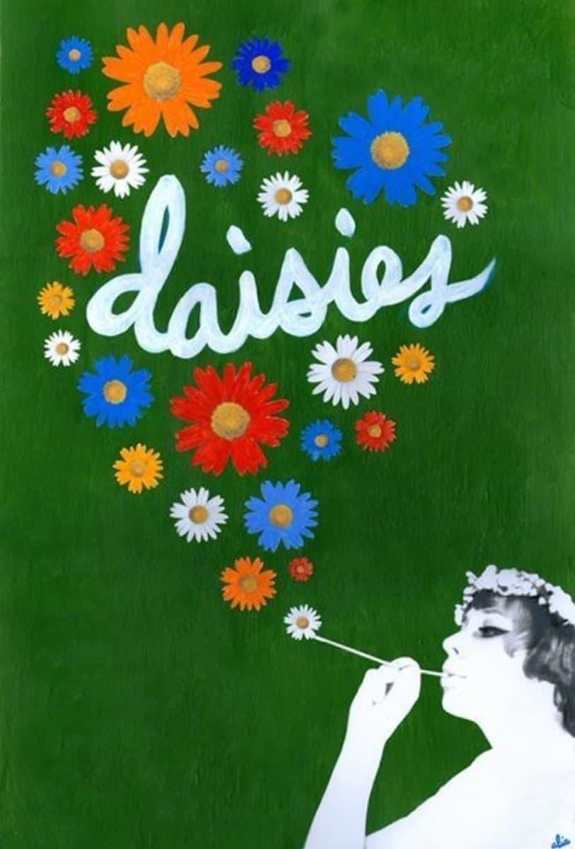 Daisies poster