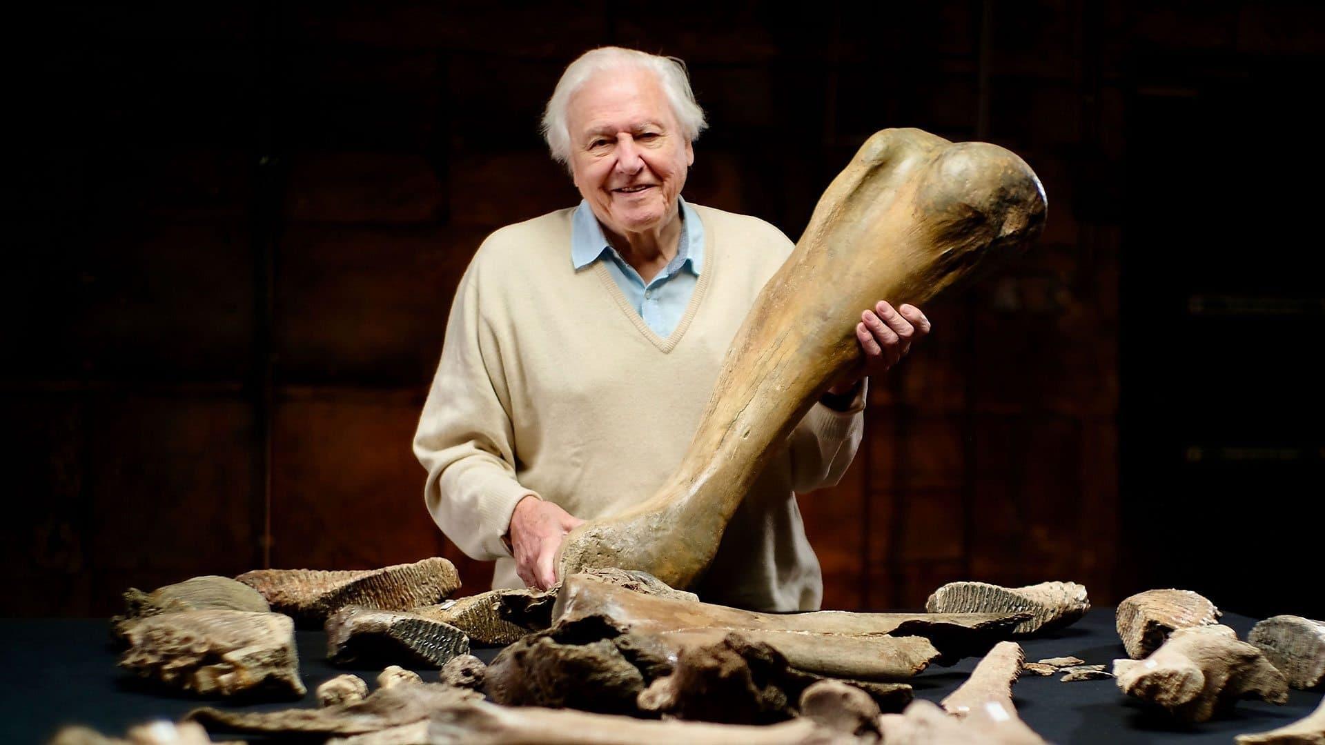 Attenborough and the Mammoth Graveyard backdrop