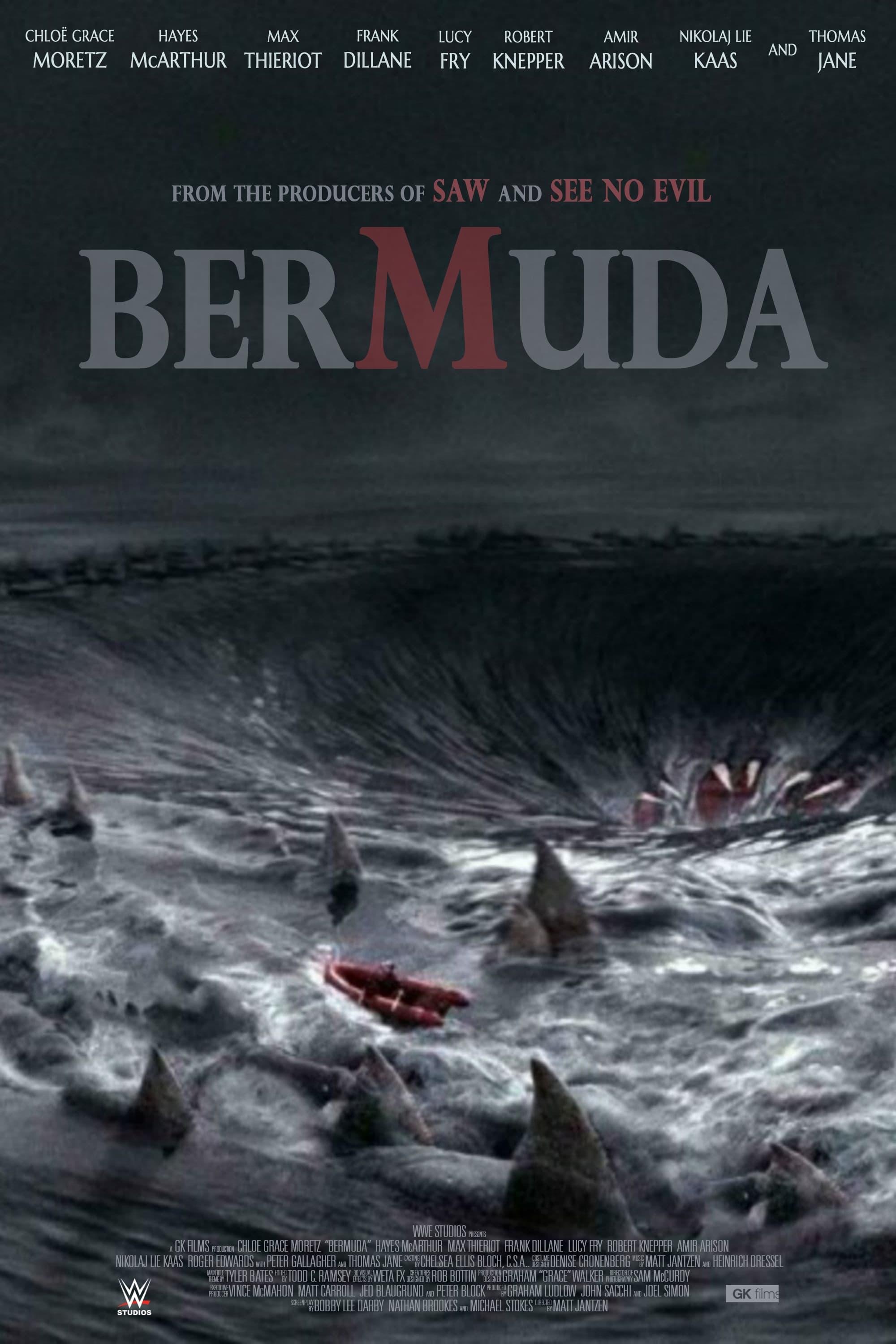 Bermuda poster