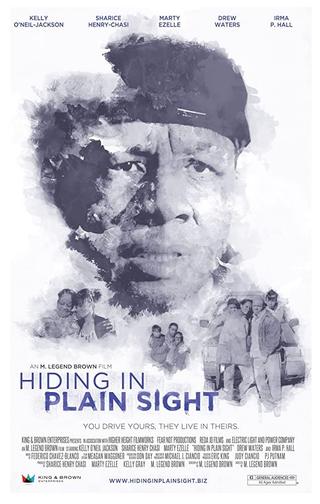 Hiding in Plain Sight poster