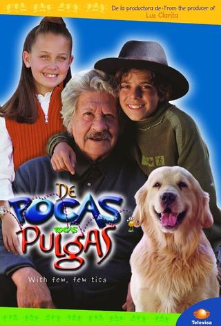 De Pocas Pocas Pulgas poster